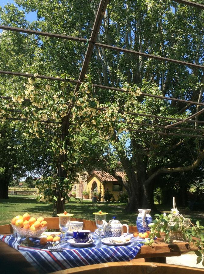 Villa Podere Il Giardino Castiglion Fiorentino Exteriör bild